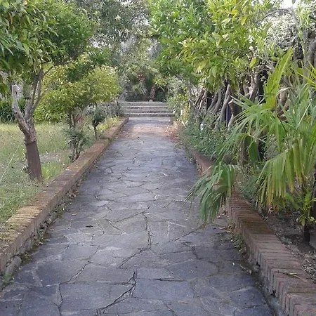 Garden Palace